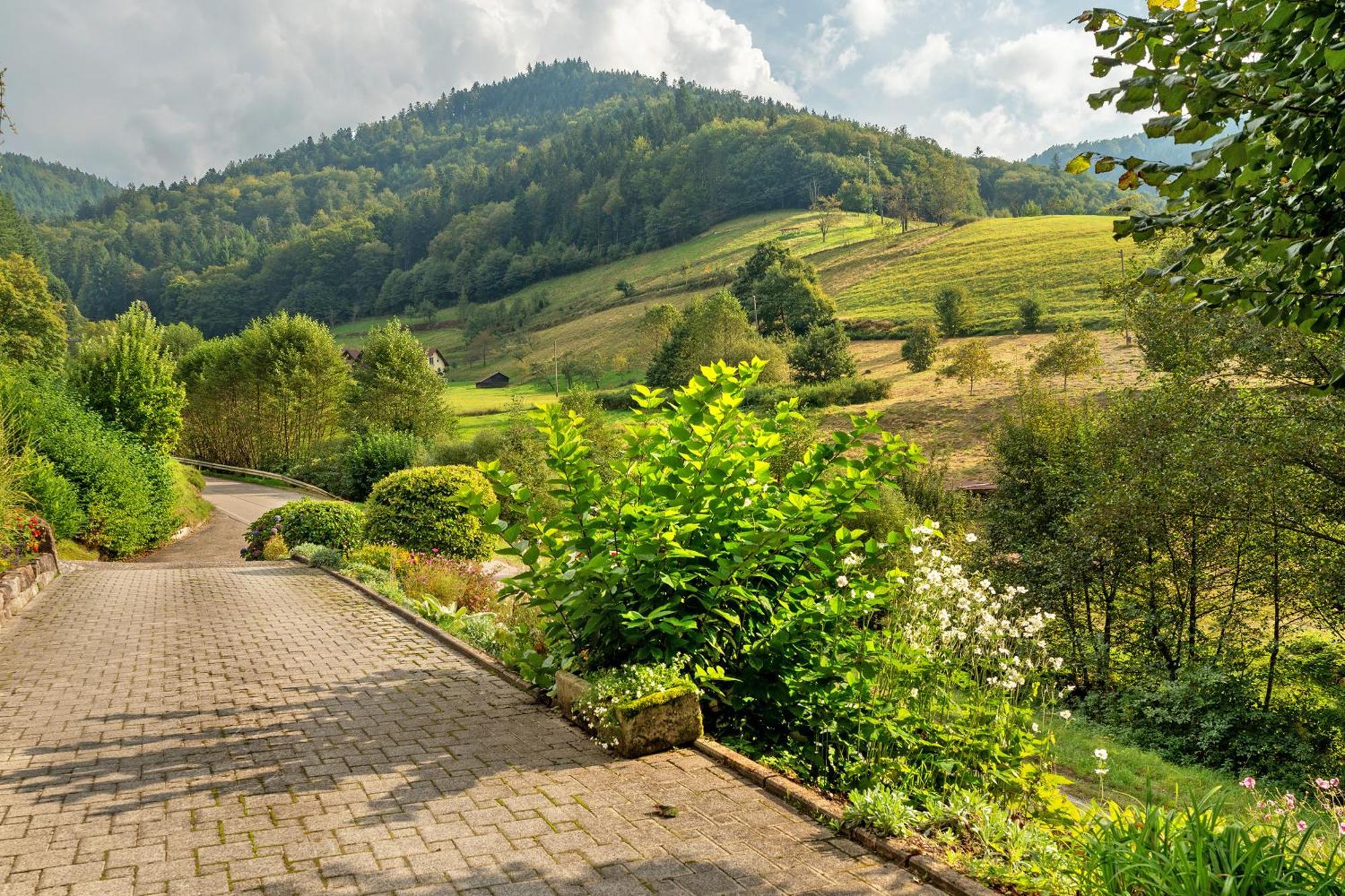 Апартаменты Haus Schindler Оттенхёфен  Экстерьер фото